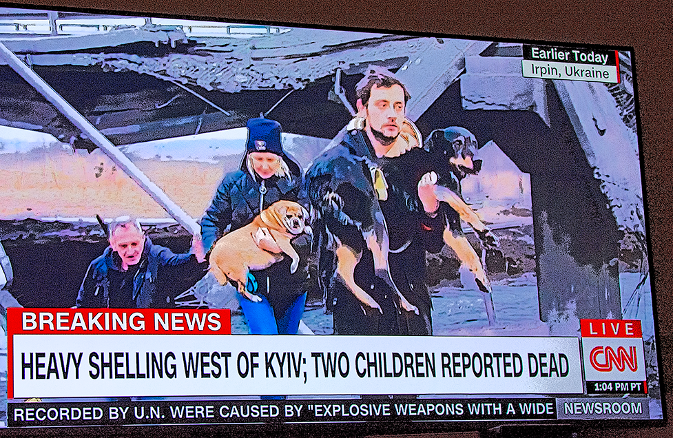 3 Ukrainians and 2 Dogs at a War on CNN 6 March 2022