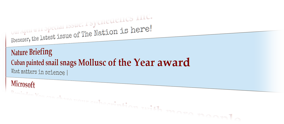 Mollusk of the Year 2022