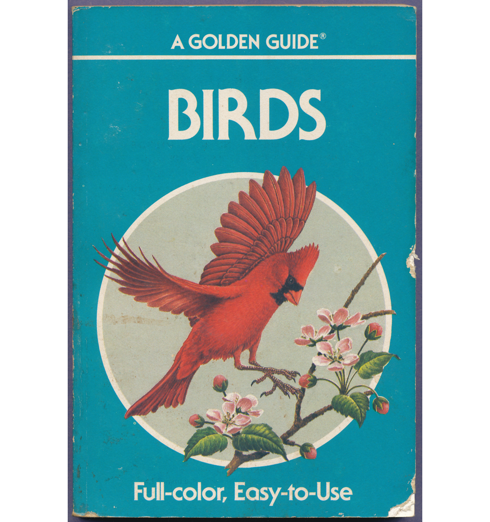 Birds A Golden Guide