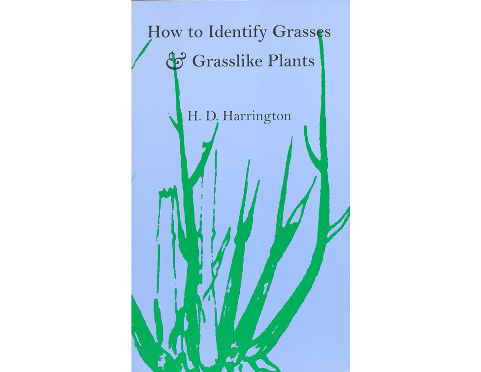 How to ID Grasses