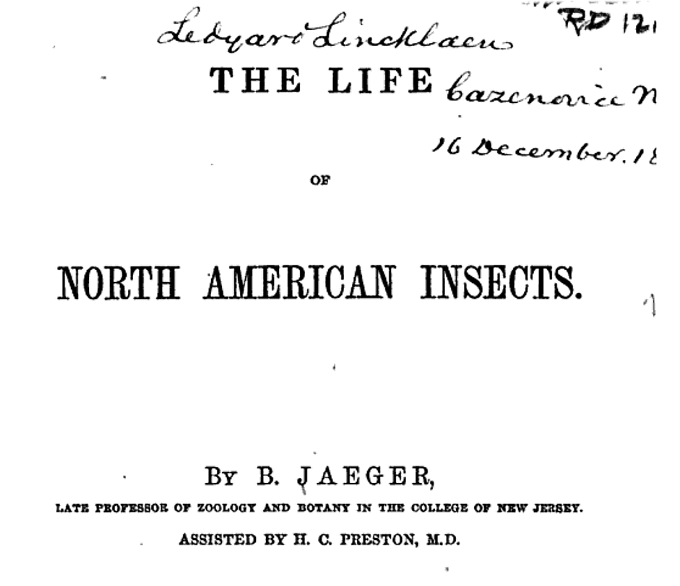 The Life of North American Insects