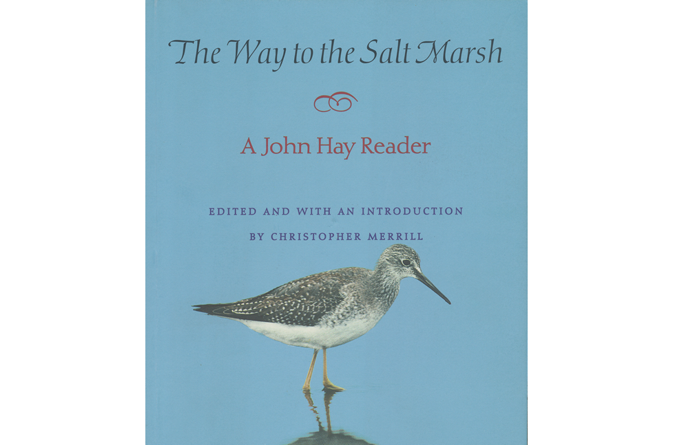 The Way to the Salt Marsh