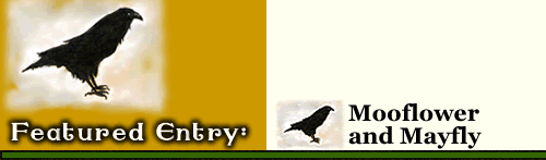 Featured Entry