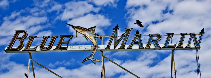 blue marlin sign