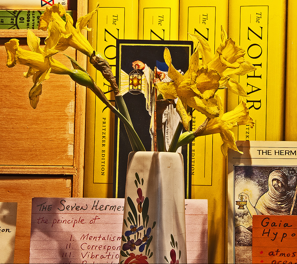 daffodils and hermits