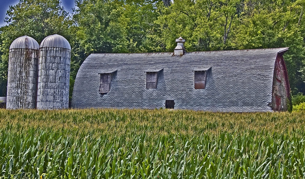 a gray barn in late summer