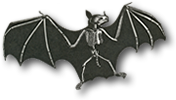 a winged bat