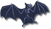 bat