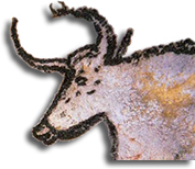 auroch