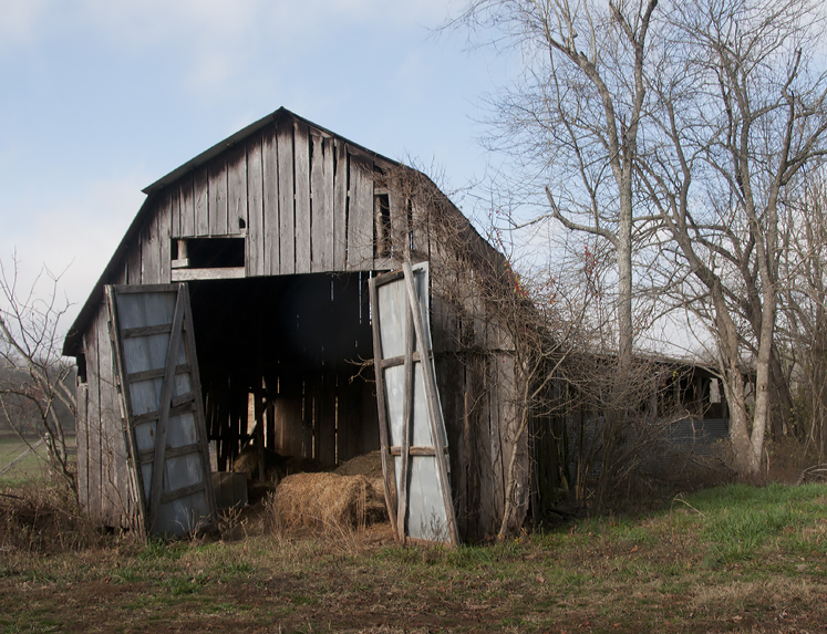 cathouse barn