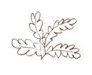 l is for leaves