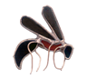 w is for wasp