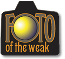 Photo of the Week