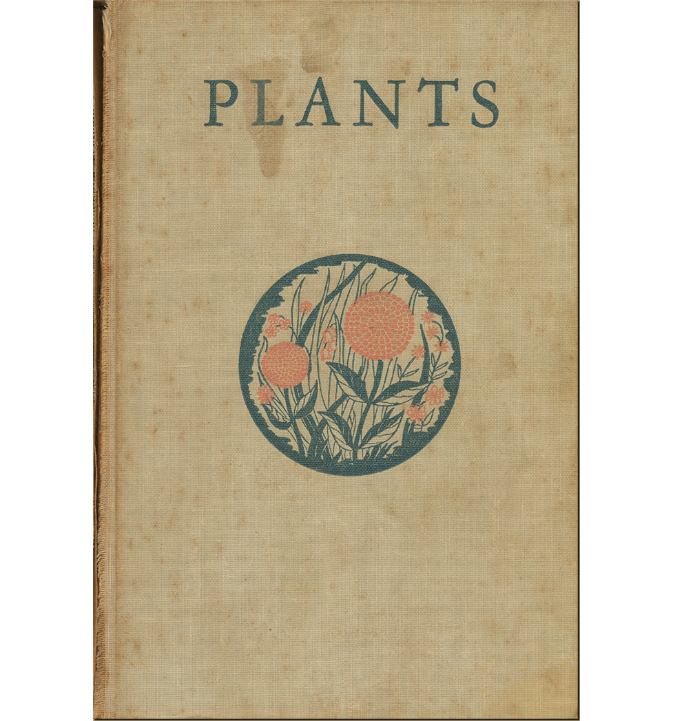 Plants