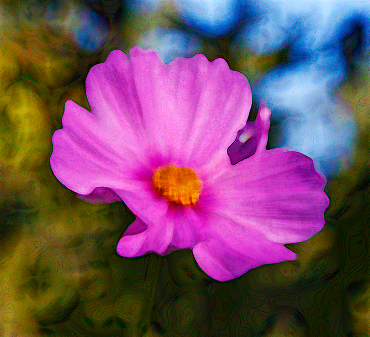 wildflower photographed on Sept 26 at Crow's Cottage