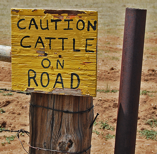 central New Mexico about noon on 28 May 2009