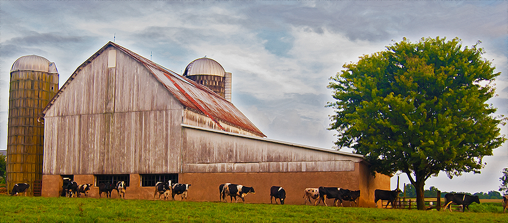 a farm in Maryland