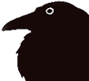 a crow in profile