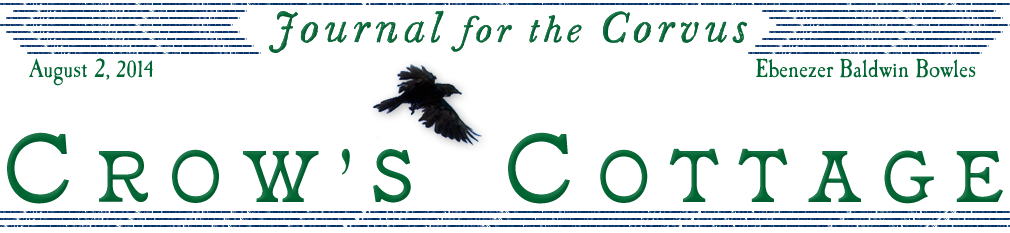 the old crow