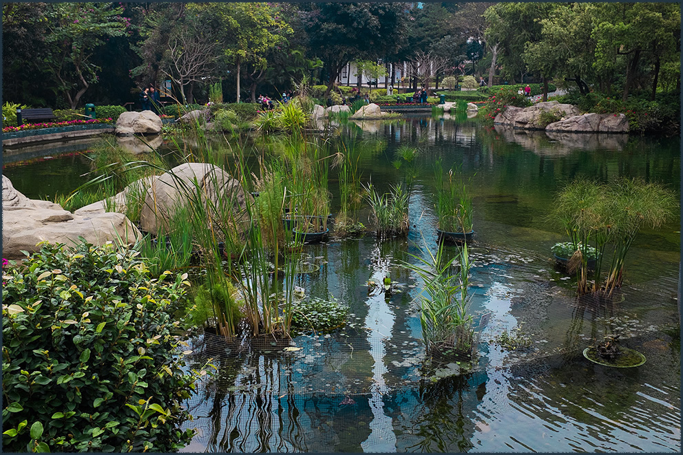 Hong Kong Park