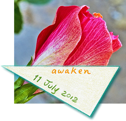 11 july 12