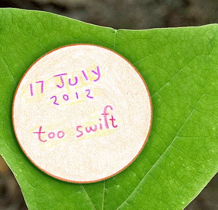 11 july 12