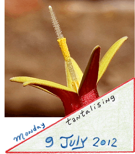 9 july 12