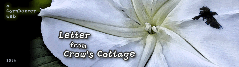 logo placeholder