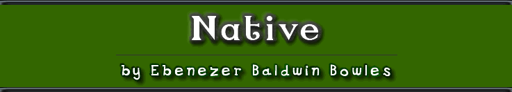 Native Trees