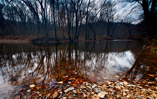 Turkey Creek