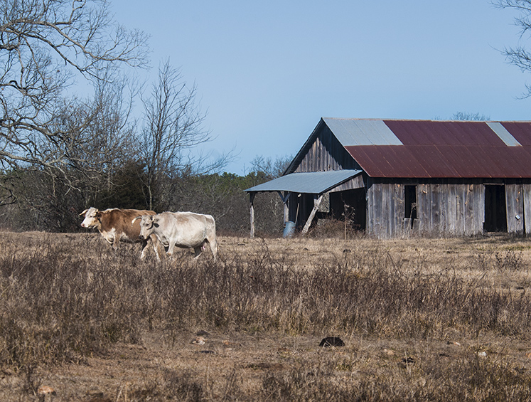 an old barn