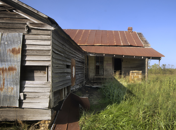 dogtrot-b