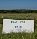 Pray For Rain