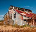 Down. On the Farm