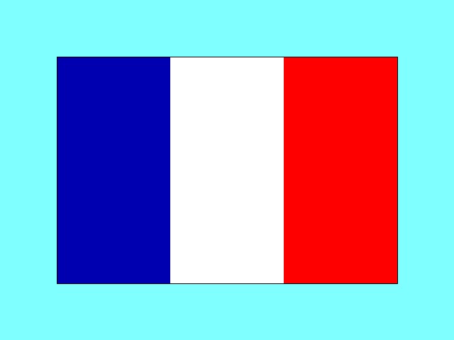 The French Flag
